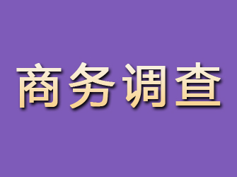 稷山商务调查